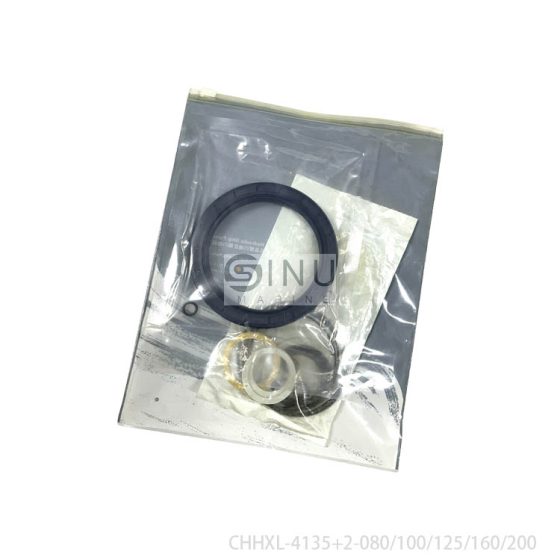 CHHXL-4135+2-100 HYDRAULIC MOTOR GEAR BOX SEAL KITS